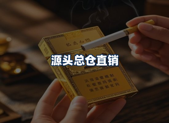 专业团队办公环境